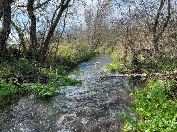 Terreno para Venda em Castelo Branco Foto 8