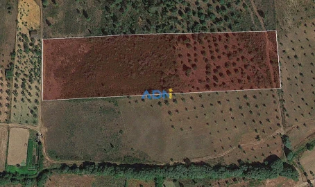 Terreno para Venda em Castelo Branco