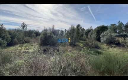 Terreno para Venda em Castelo Branco