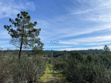 Terreno para Venda em Castelo Branco