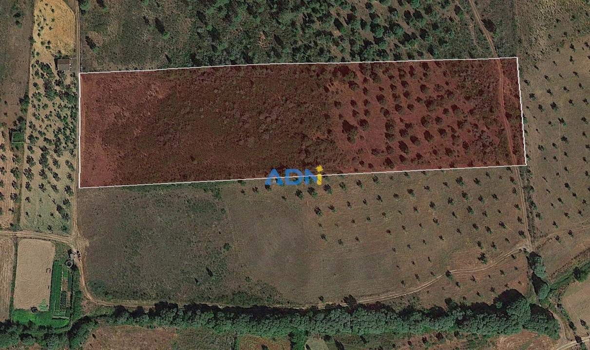 Terreno para Venda em Castelo Branco Foto 4