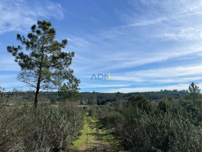 Terreno para Venda em Castelo Branco Foto 2