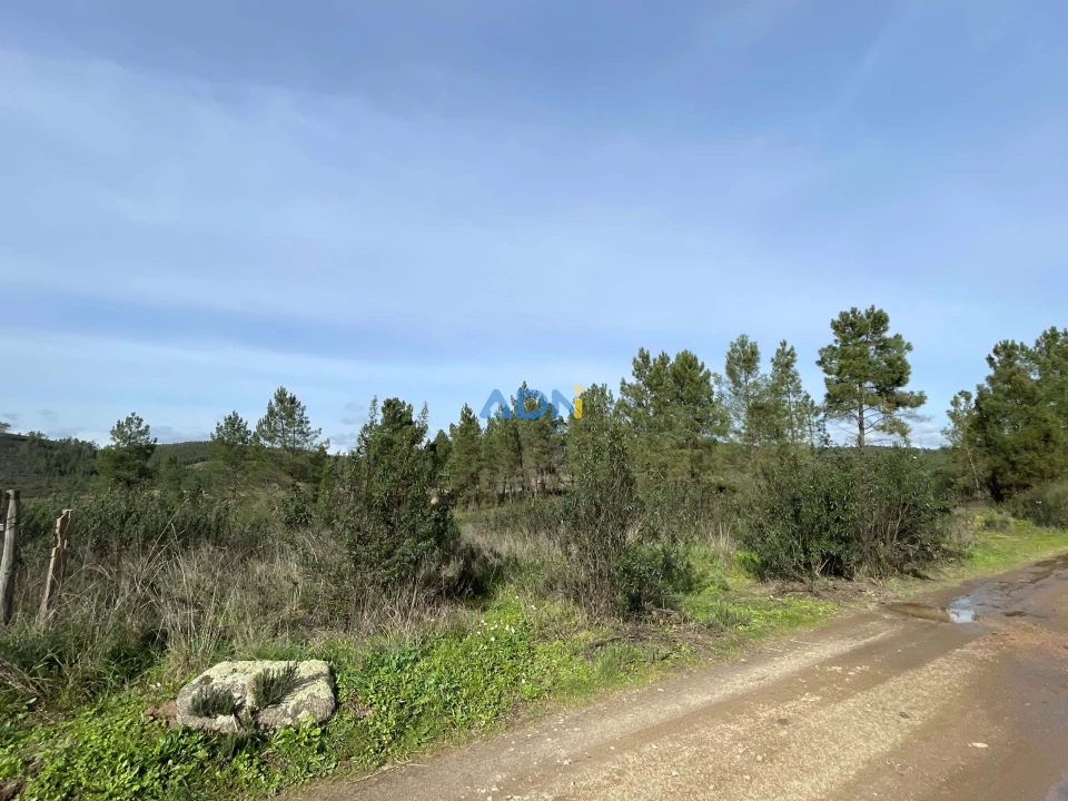 Terreno para Venda em Castelo Branco Foto 4