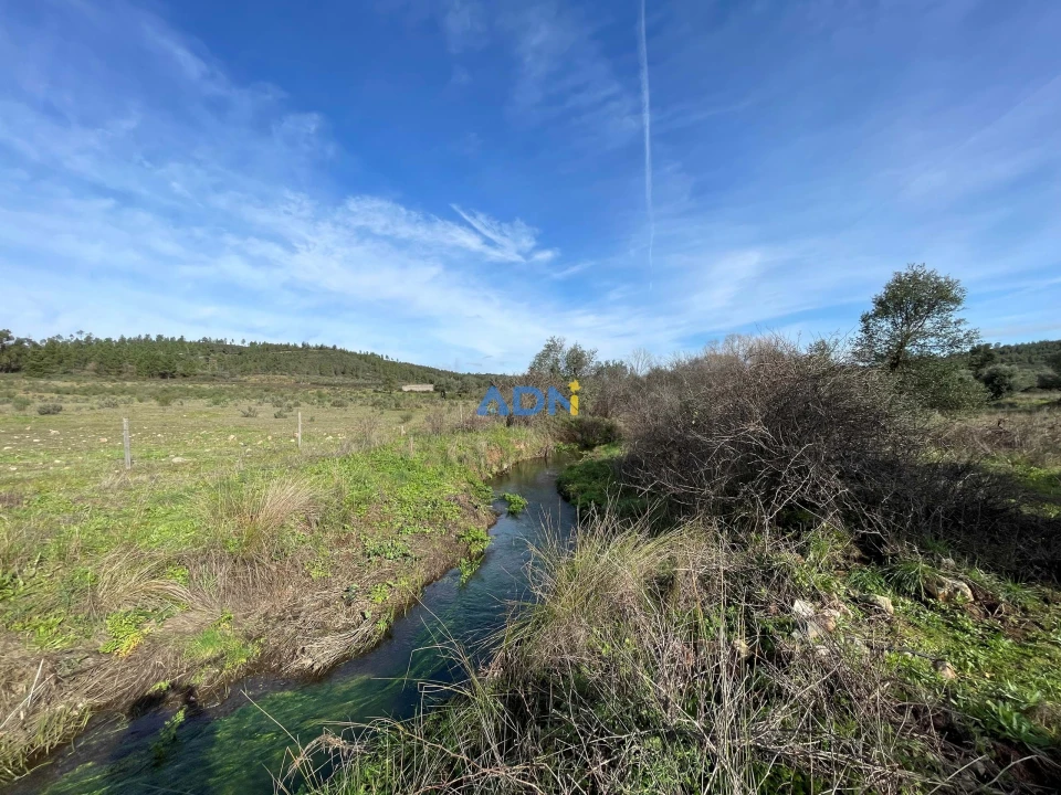Terreno para Venda em Castelo Branco Foto 20