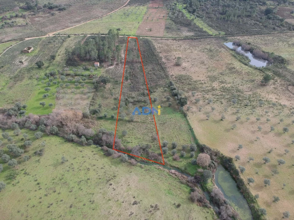 Terreno para Venda em Castelo Branco Foto 2