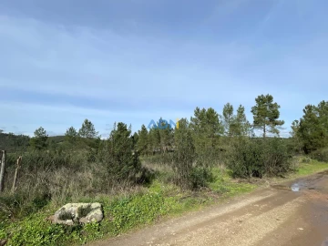 Terreno para Venda em Castelo Branco