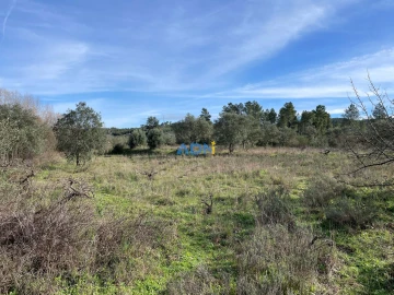 Terreno para Venda em Castelo Branco