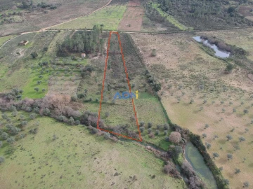 Terreno para Venda em Castelo Branco