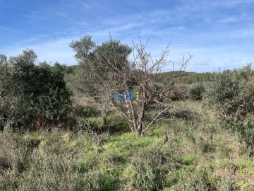 Terreno para Venda em Castelo Branco