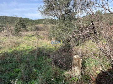 Terreno para Venda em Castelo Branco