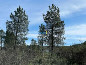Terreno para Venda em Castelo Branco