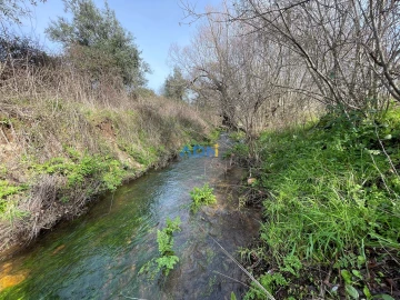Terreno para Venda em Castelo Branco