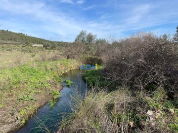 Terreno para Venda em Castelo Branco