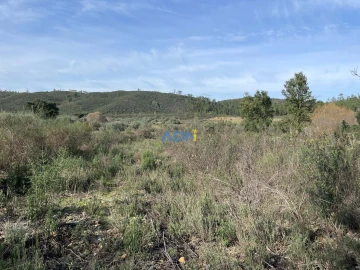 Terreno para Venda em Castelo Branco