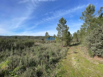 Terreno para Venda em Castelo Branco
