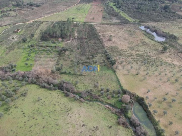 Terreno para Venda em Castelo Branco