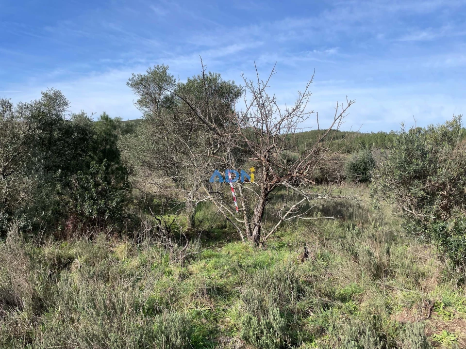 Terreno para Venda em Castelo Branco Foto 9