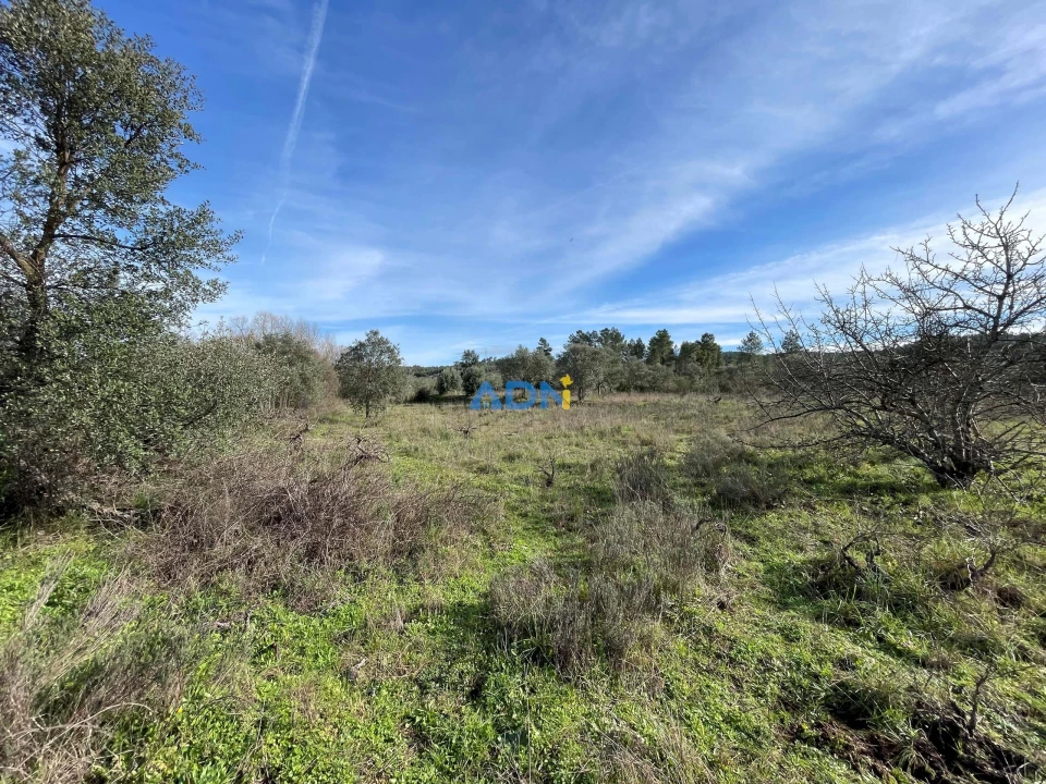 Terreno para Venda em Castelo Branco Foto 13