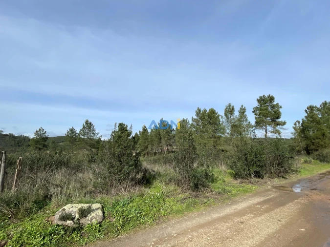 Terreno para Venda em Castelo Branco Foto 4