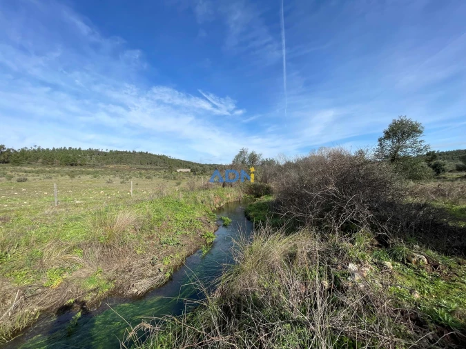 Terreno para Venda em Castelo Branco Foto 20