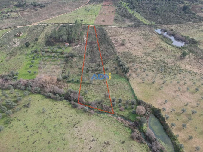 Terreno para Venda em Castelo Branco Foto 2