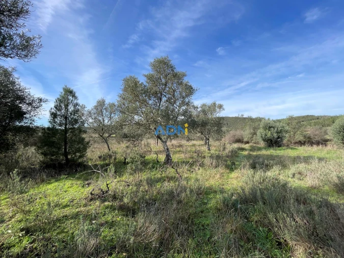 Terreno para Venda em Castelo Branco Foto 10
