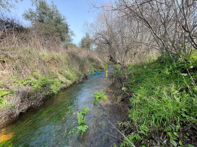 Terreno para Venda em Castelo Branco Foto 15