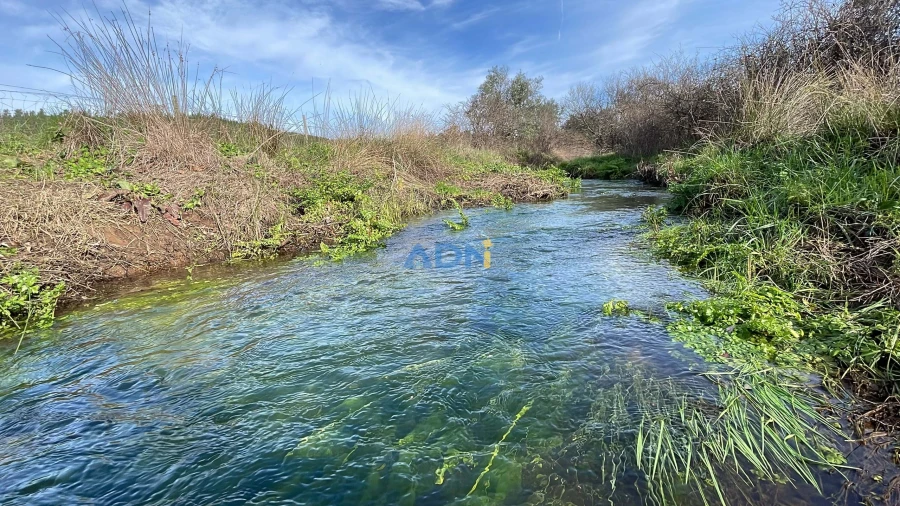 Terreno para Venda em Castelo Branco Foto 18
