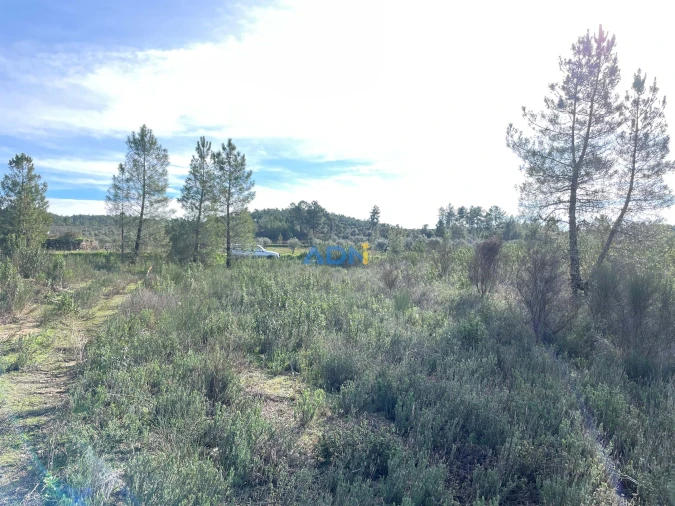 Terreno para Venda em Castelo Branco Foto 6