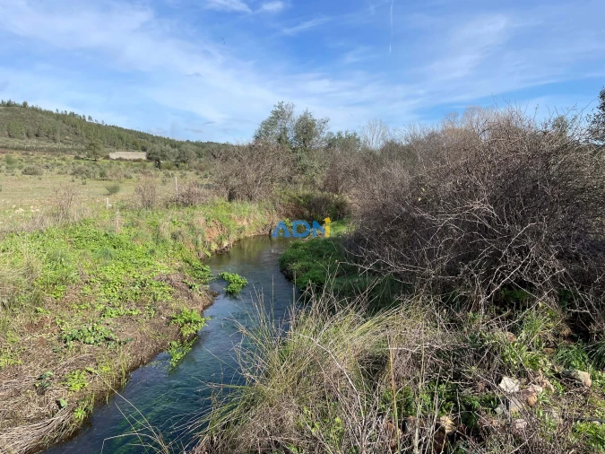 Terreno para Venda em Castelo Branco Foto 19