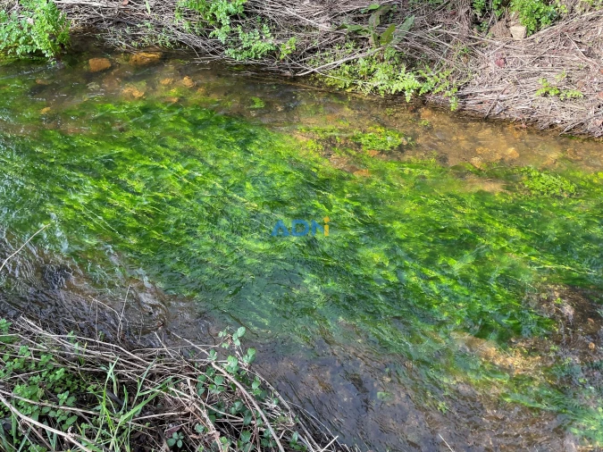Terreno para Venda em Castelo Branco Foto 17