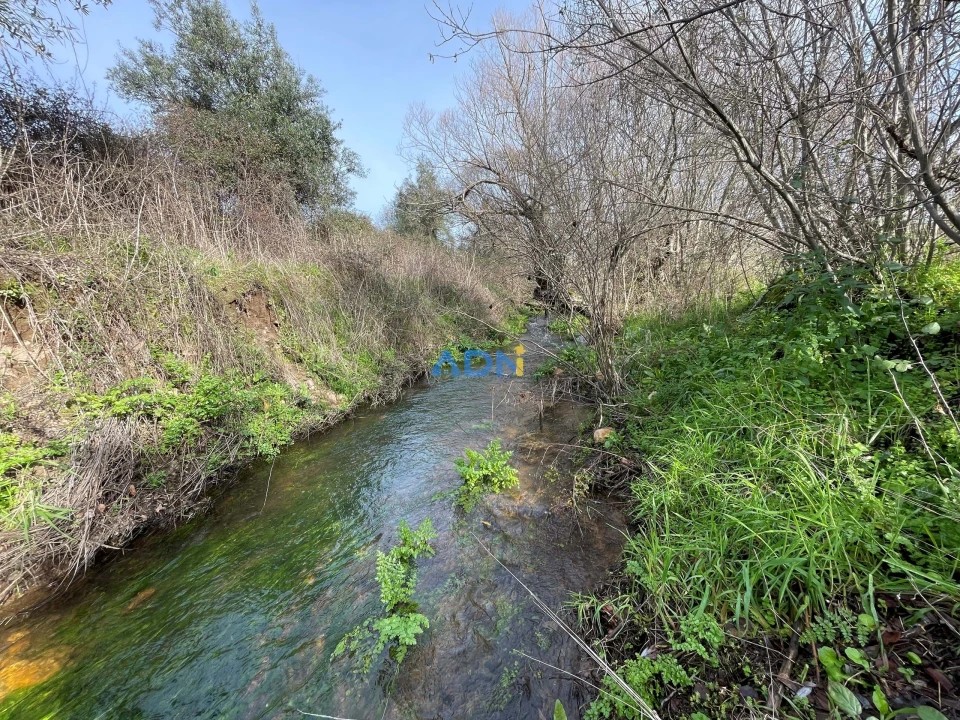 Terreno para Venda em Castelo Branco Foto 15