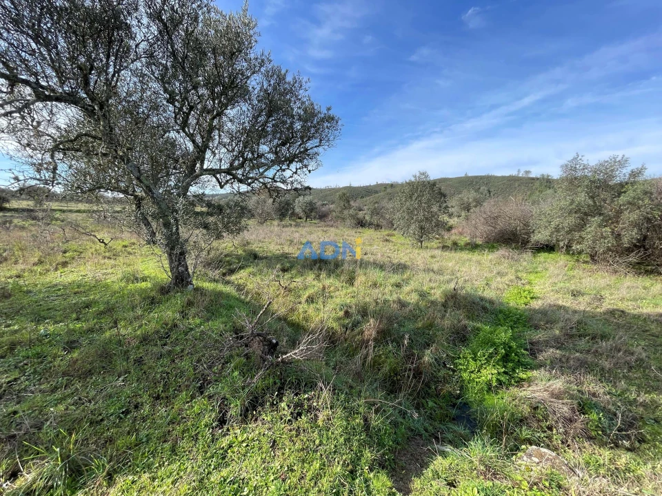 Terreno para Venda em Castelo Branco Foto 11