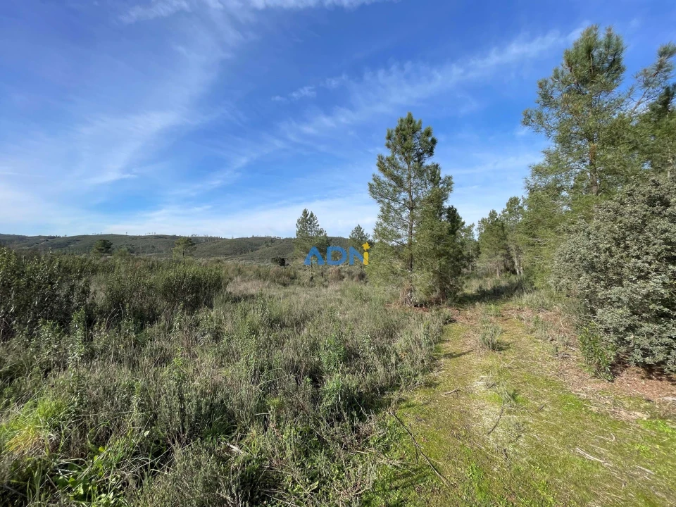 Terreno para Venda em Castelo Branco Foto 3