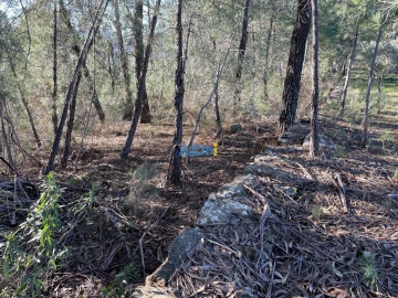 Terreno para Venda em Freixial e Juncal do Campo