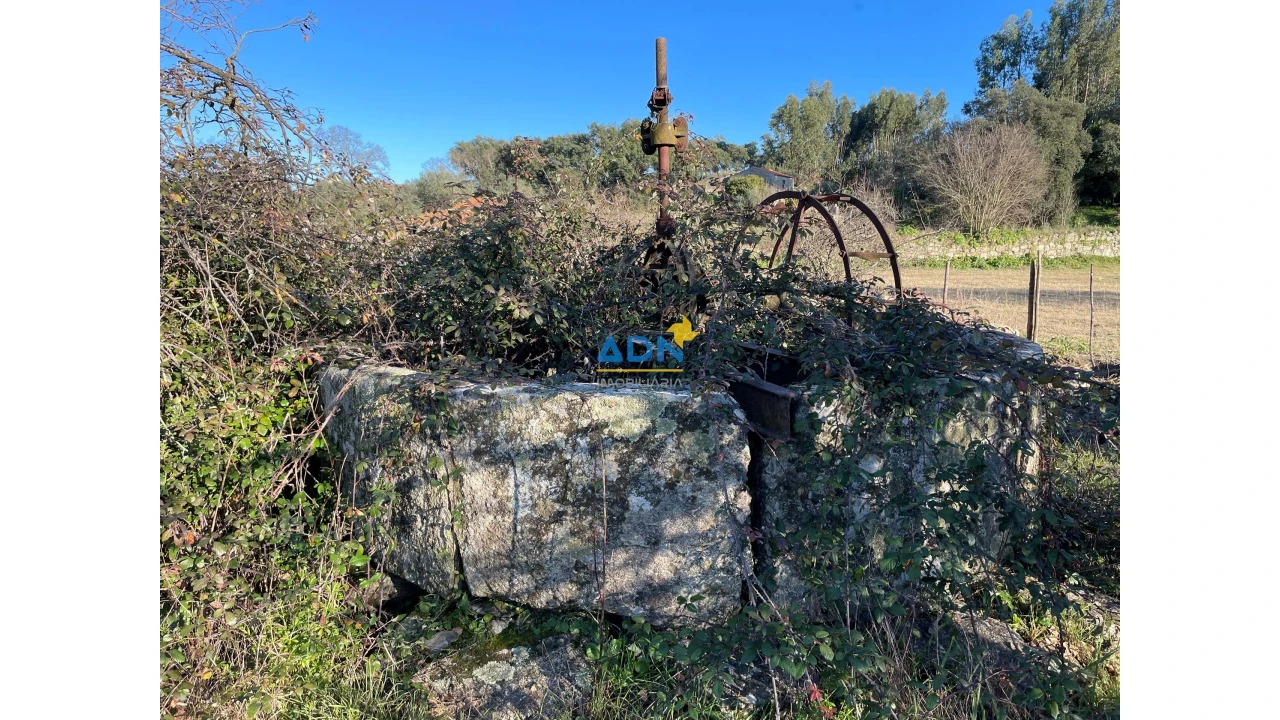 Quinta para Venda em Castelo Branco Foto 5