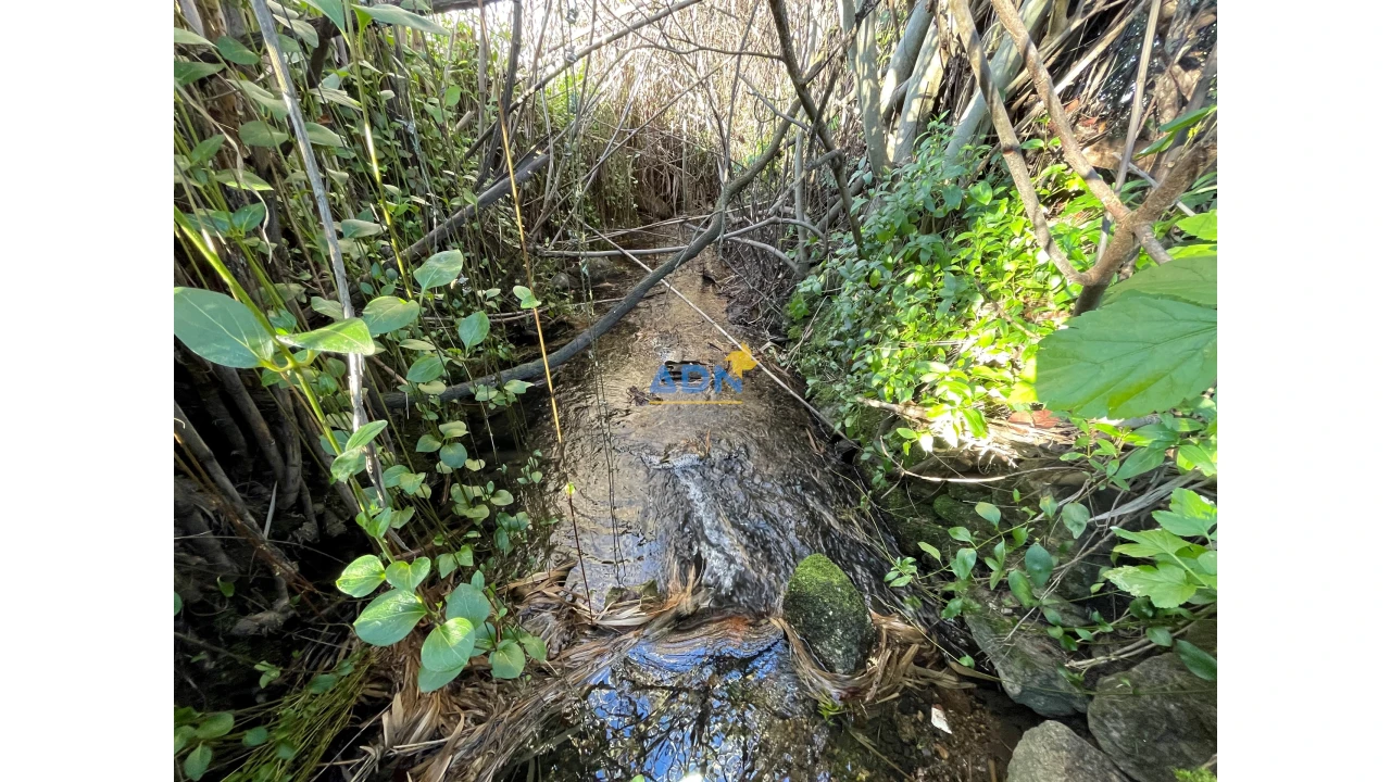 Quinta para Venda em Castelo Branco Foto 7