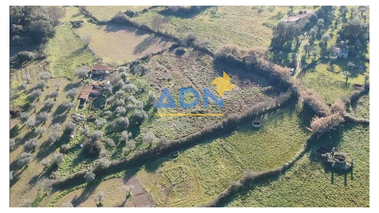 Quinta para Venda em Castelo Branco Foto 1