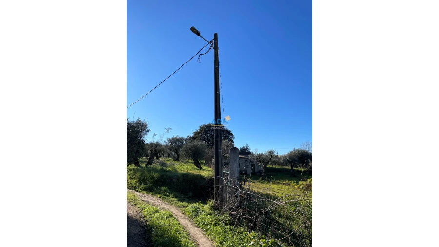 Quinta para Venda em Castelo Branco Foto 11