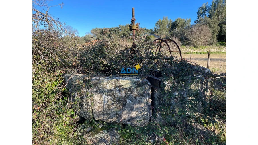 Quinta para Venda em Castelo Branco Foto 5