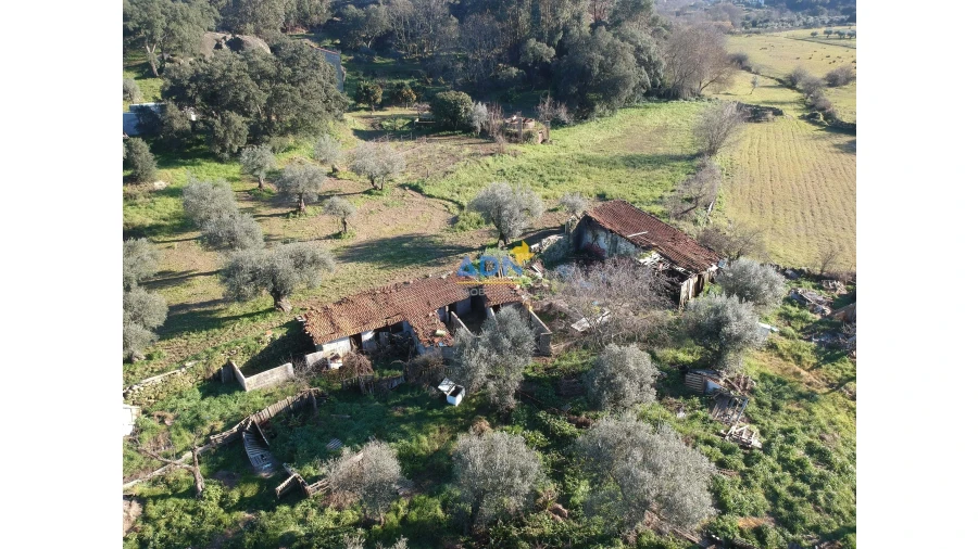 Quinta para Venda em Castelo Branco Foto 3