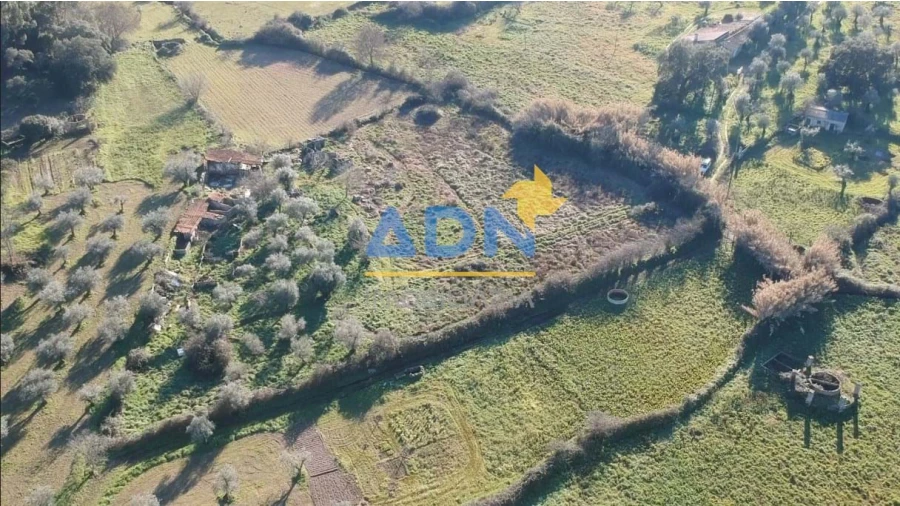 Quinta para Venda em Castelo Branco