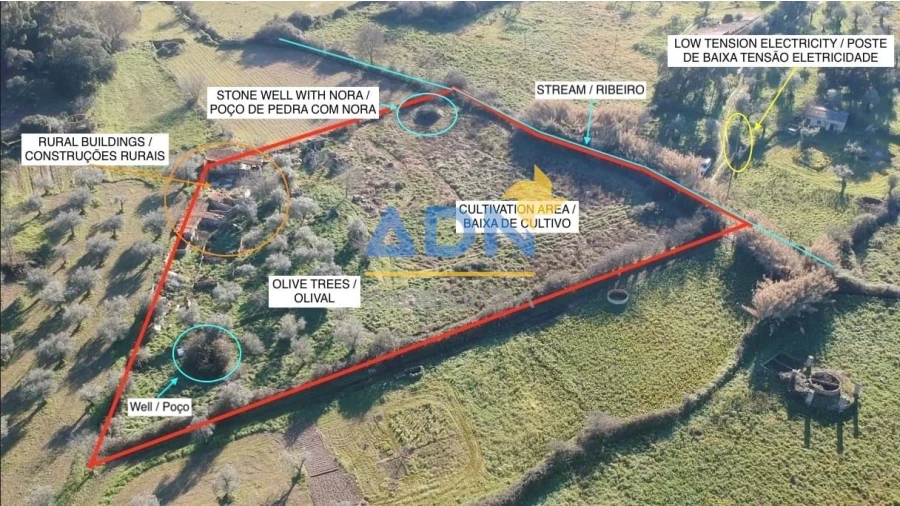 Quinta para Venda em Castelo Branco Foto 2