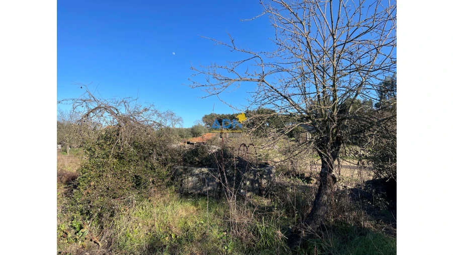 Quinta para Venda em Castelo Branco Foto 10