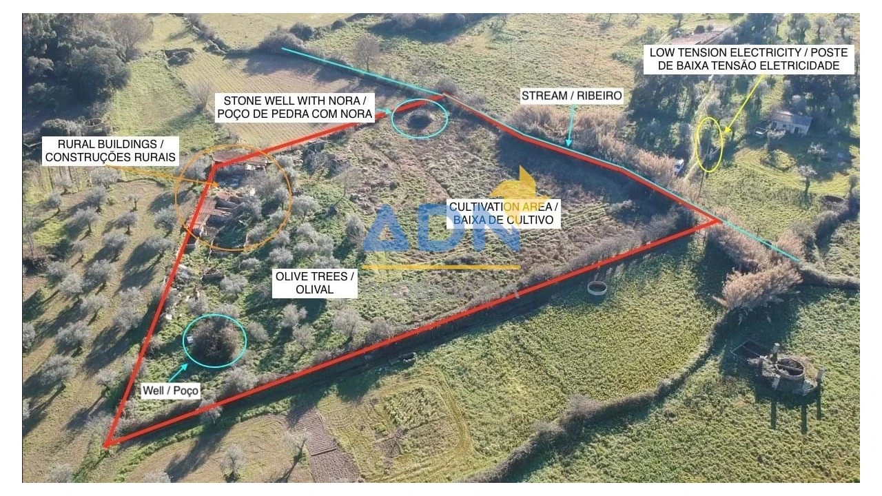 Quinta para Venda em Castelo Branco Foto 2