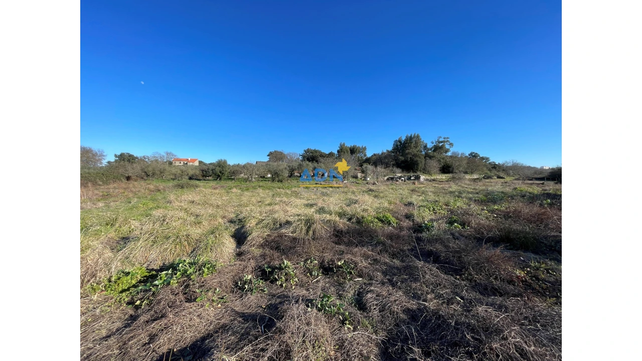 Quinta para Venda em Castelo Branco Foto 9