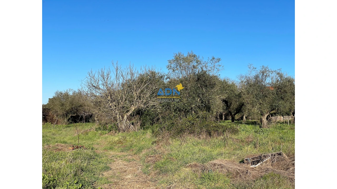 Quinta para Venda em Castelo Branco Foto 8