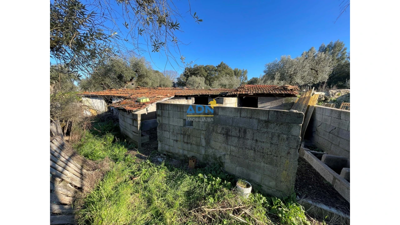 Quinta para Venda em Castelo Branco Foto 4