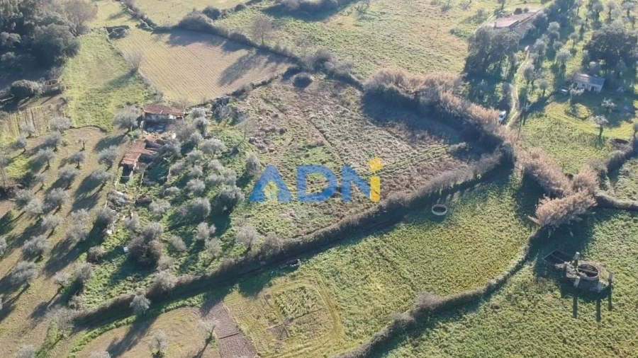 Quinta para Venda em Castelo Branco