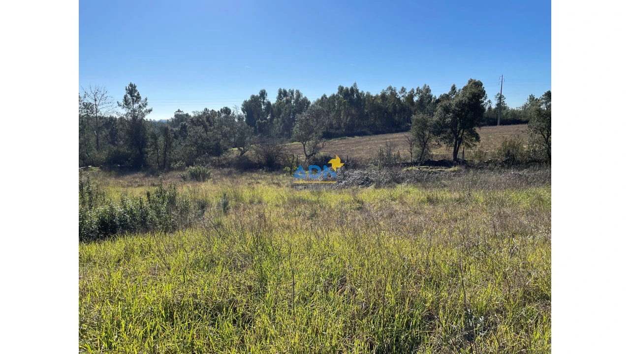Quinta T3 para Venda em Castelo Branco Foto 3
